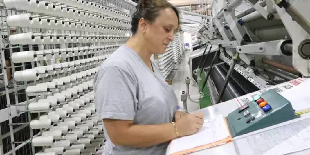 Yozgat’tan Avrupa yollarına! Devlet destekliyor, 150 ton üretim yapılıyor: Birçok ülkeye ihraç ediliyor 3